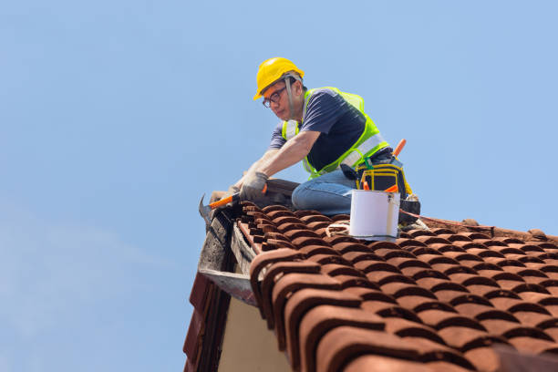 Fast & Reliable Emergency Roof Repairs in Freeland, WA